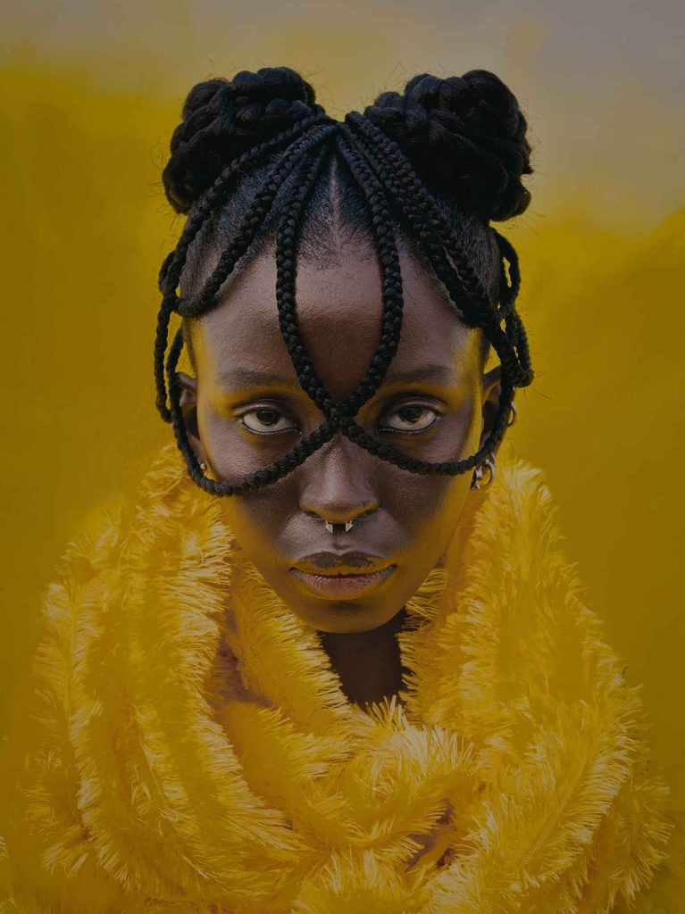 An Artistic Portrait Of A Stylish Black Woman With Intricate Braids Framing Her Face